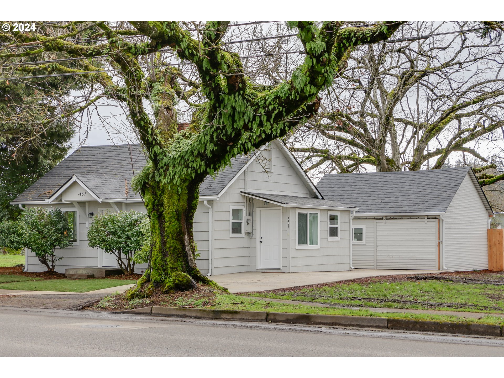 1467 Main Street Springfield, OR 97477 - Photo 4 of 29 a house that has a tree in front of it