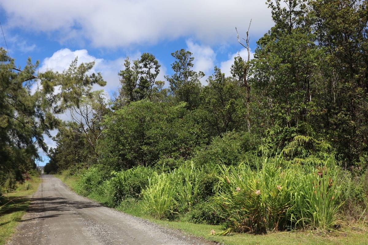 49 Ohialani Road Mountain View, HI 96771 - Photo 1 of 6 Gallery Image 1