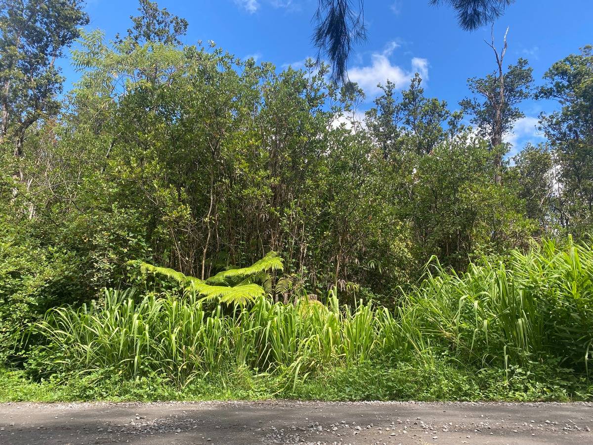49 Ohialani Road Mountain View, HI 96771 - Photo 4 of 6 Gallery Image 4