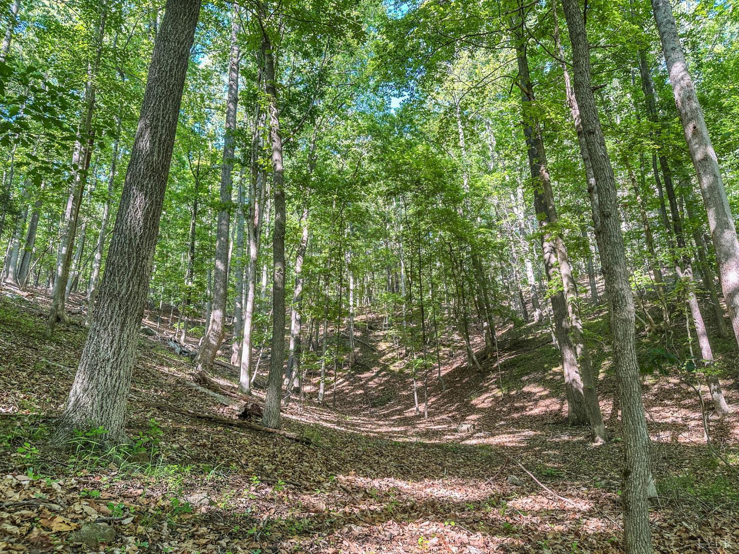 0 Gun Powder Trail Monroe, VA 24574 - Photo 18 of 33