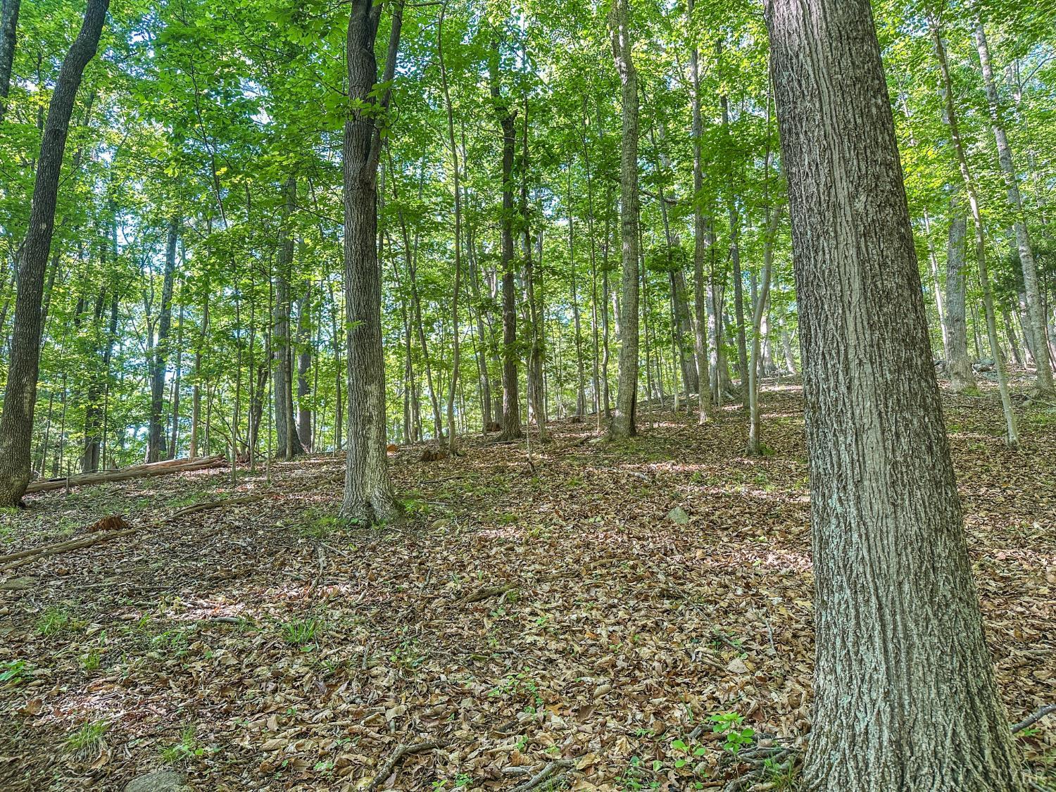 0 Gun Powder Trail Monroe, VA 24574 - Photo 20 of 33
