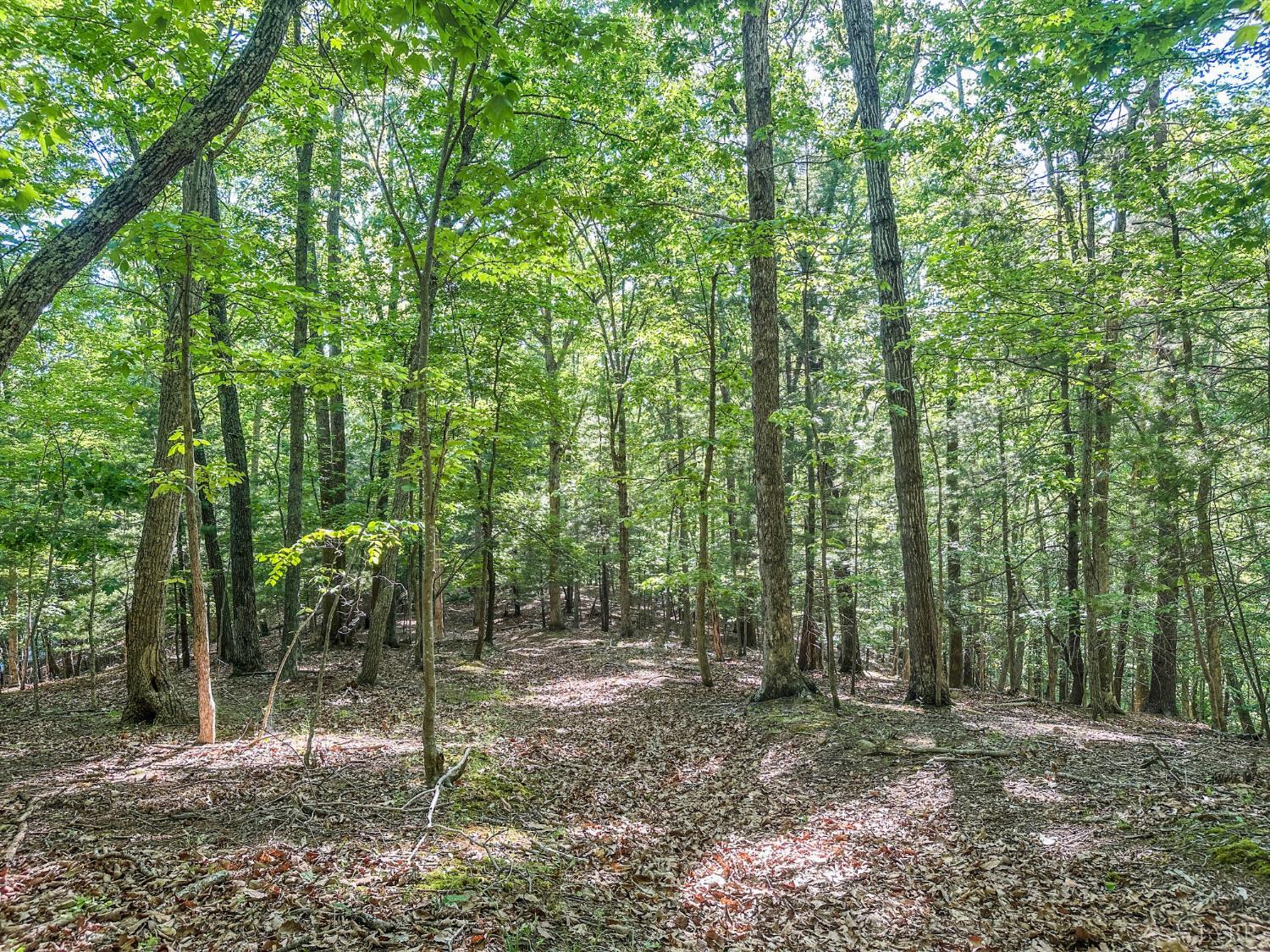 0 Gun Powder Trail Monroe, VA 24574 - Photo 21 of 33