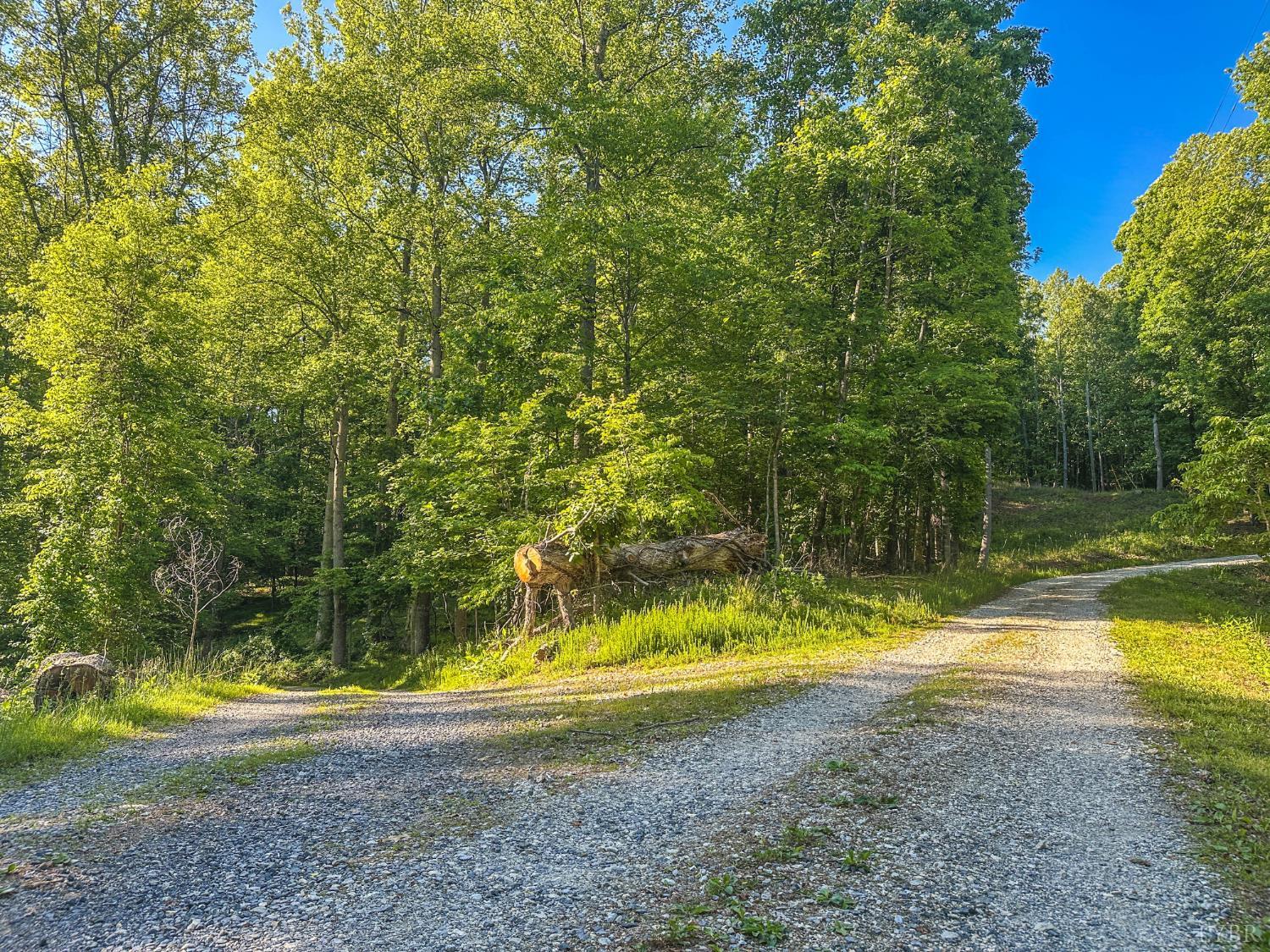 0 Gun Powder Trail Monroe, VA 24574 - Photo 4 of 33