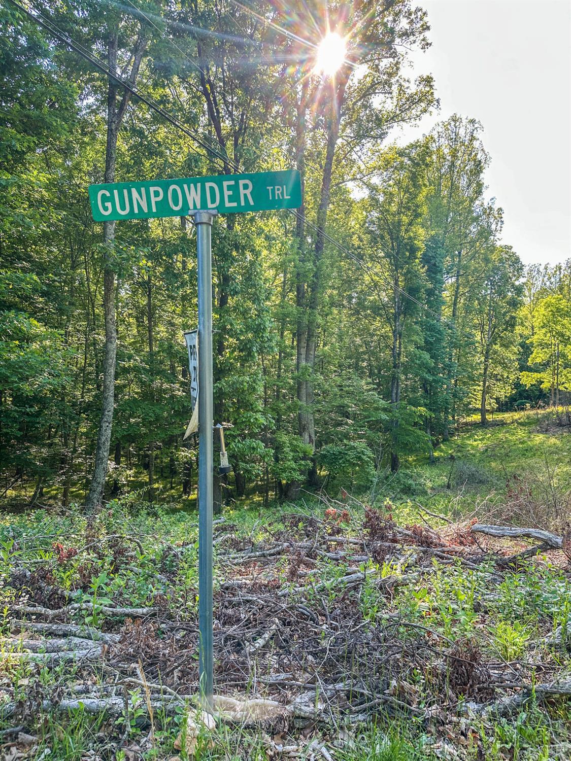 0 Gun Powder Trail Monroe, VA 24574 - Photo 7 of 33