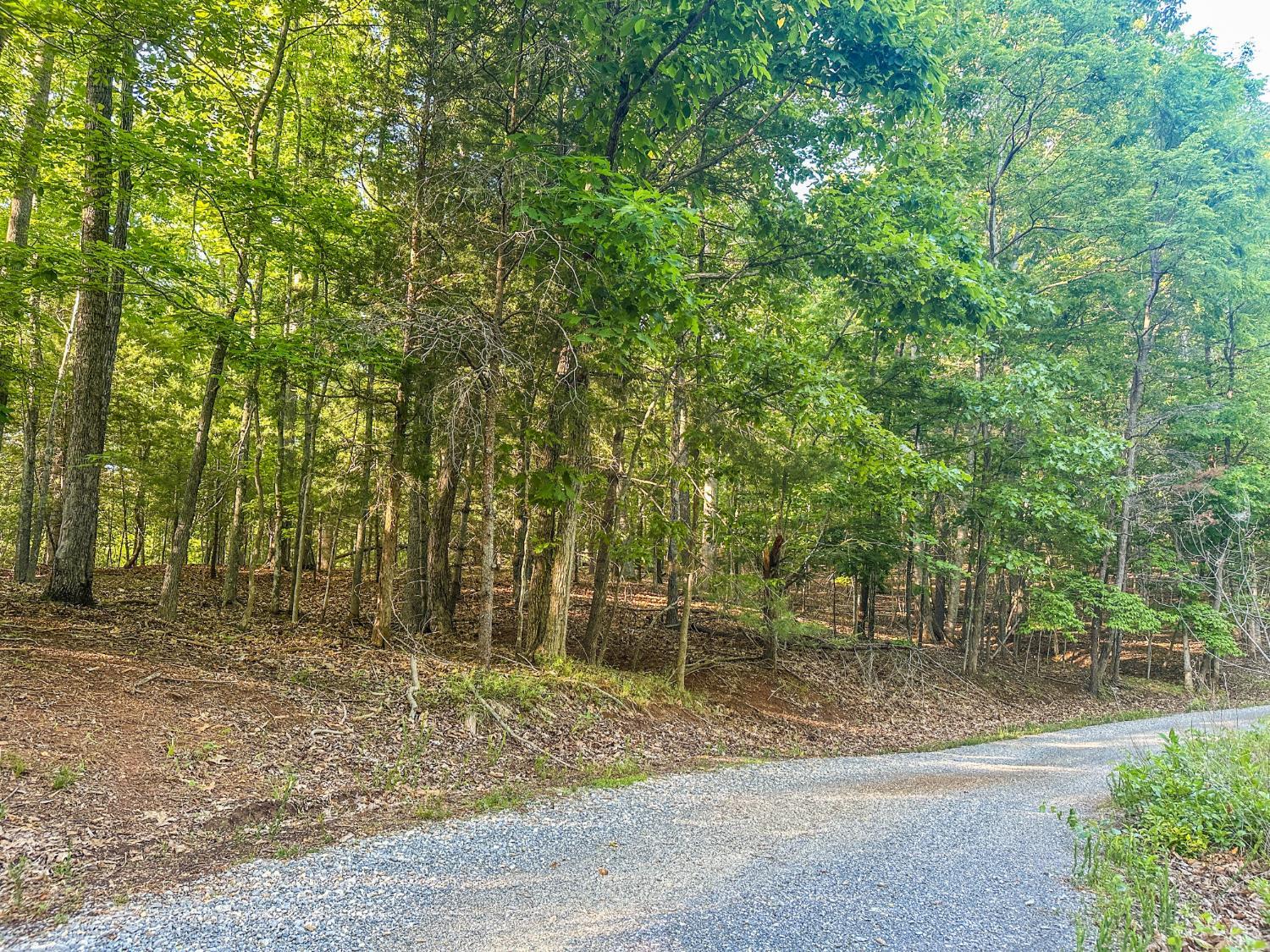0 Gun Powder Trail Monroe, VA 24574 - Photo 9 of 33