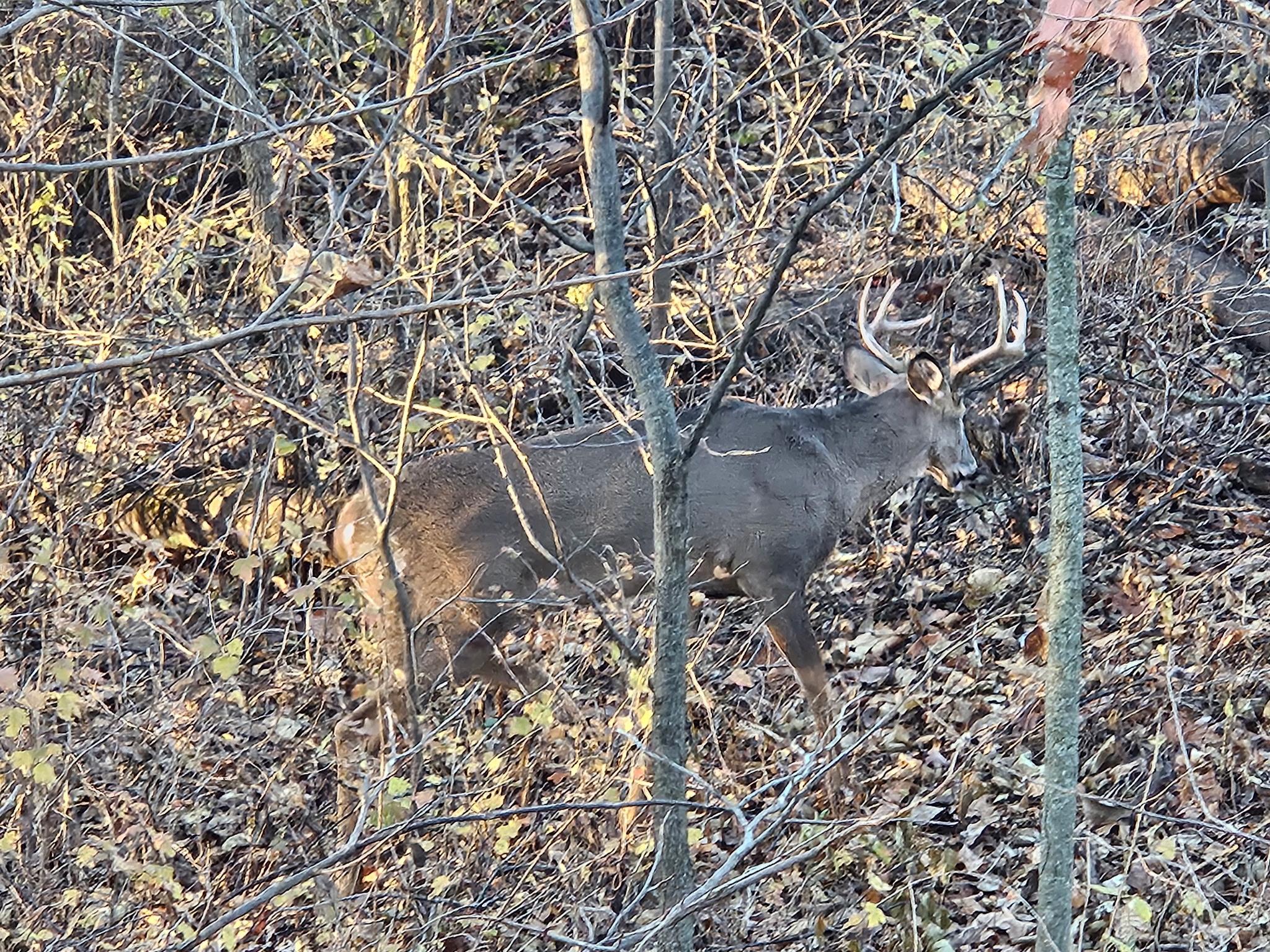 27380 Sevastopol Road Red Wing, MN 55066 - Photo 12 of 18