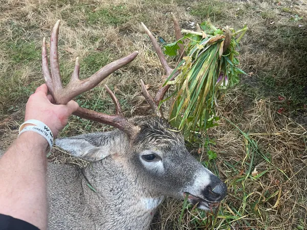 $495,000 | 27380 Sevastopol Road, Red Wing, MN 55066