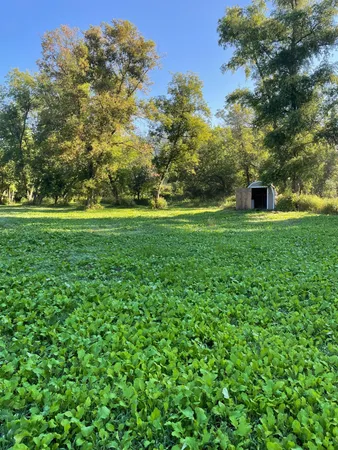 $495,000 | 27380 Sevastopol Road, Red Wing, MN 55066