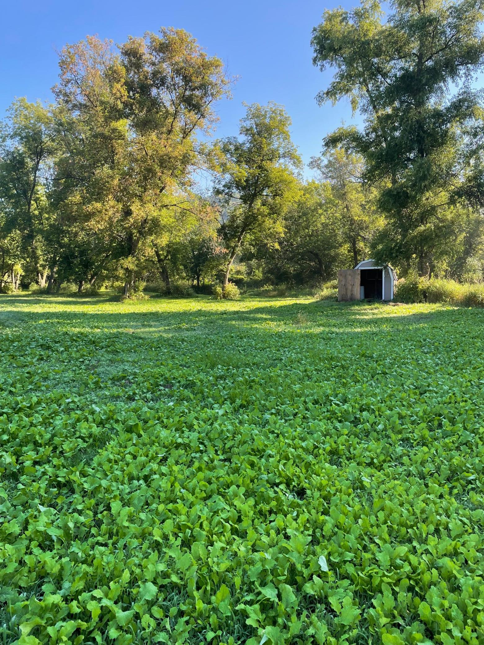 27380 Sevastopol Road Red Wing, MN 55066 - Photo 7 of 18