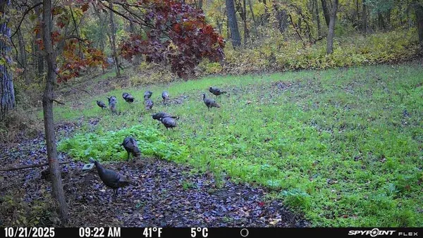 $495,000 | 27380 Sevastopol Road, Red Wing, MN 55066