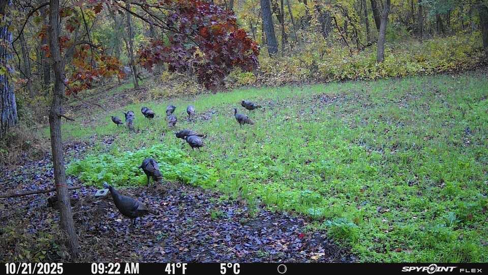 27380 Sevastopol Road Red Wing, MN 55066 - Photo 9 of 18