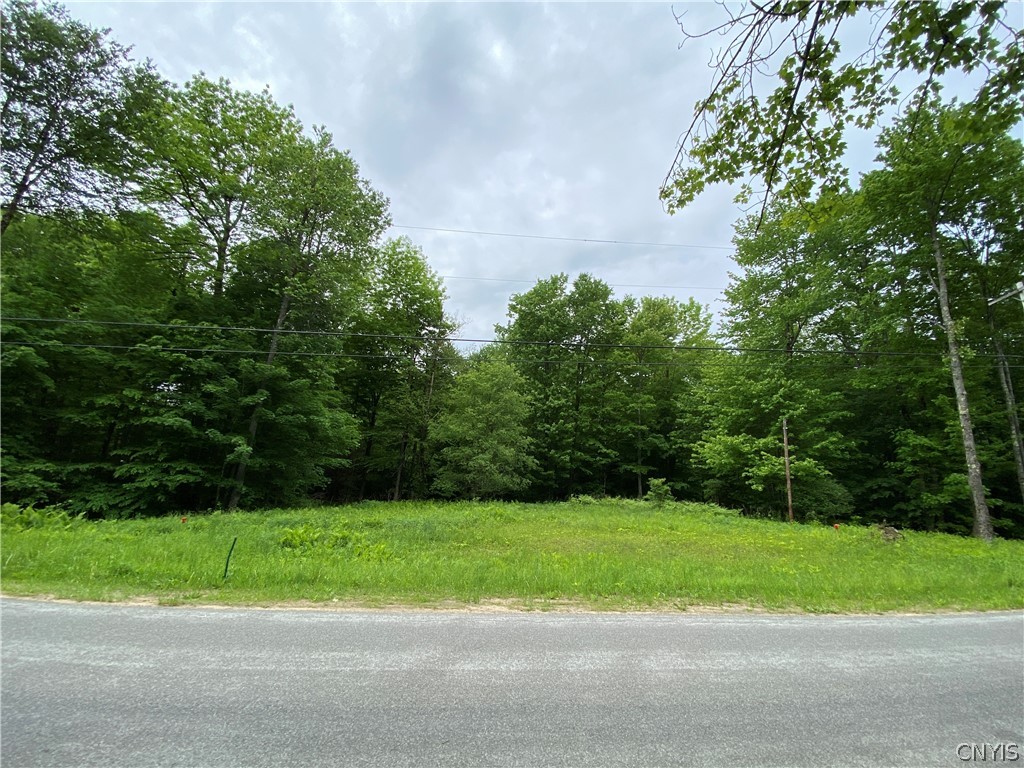 0 Kaine Road Altmar, NY 13302 - Photo 1 of 1