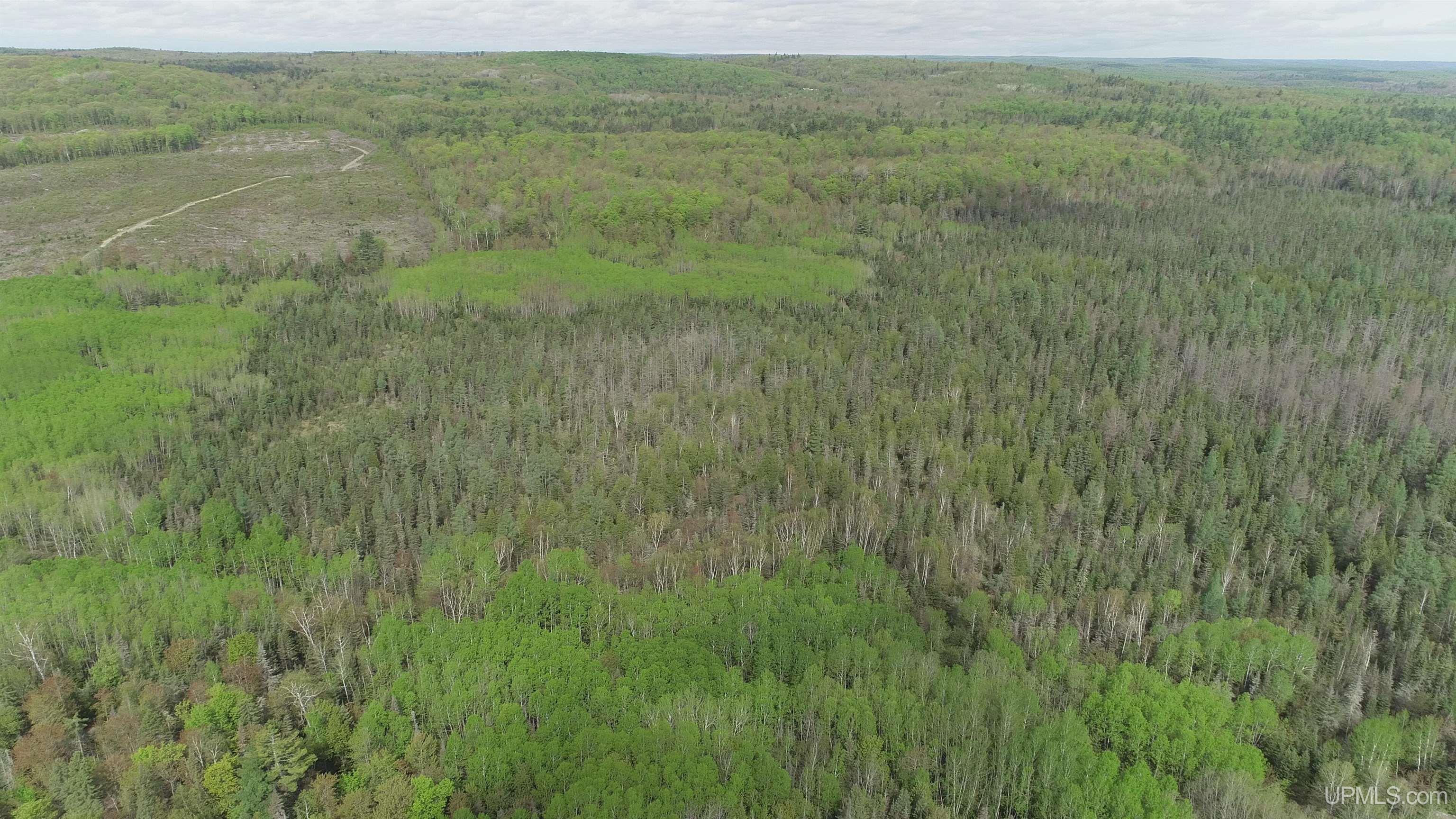 280-acres County Road CCN Road Negaunee, MI 49866 - Photo 28 of 48