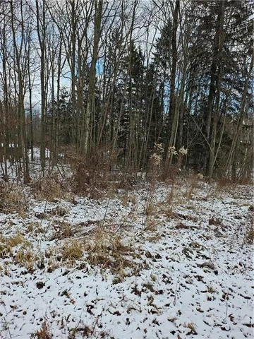 a view of a yard with trees