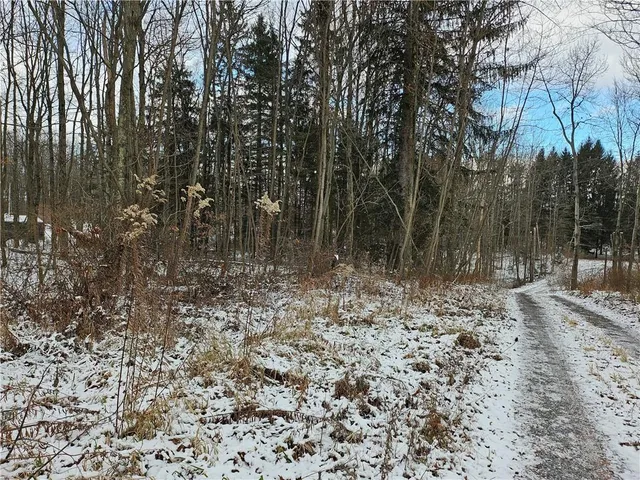 a view of a covered with trees