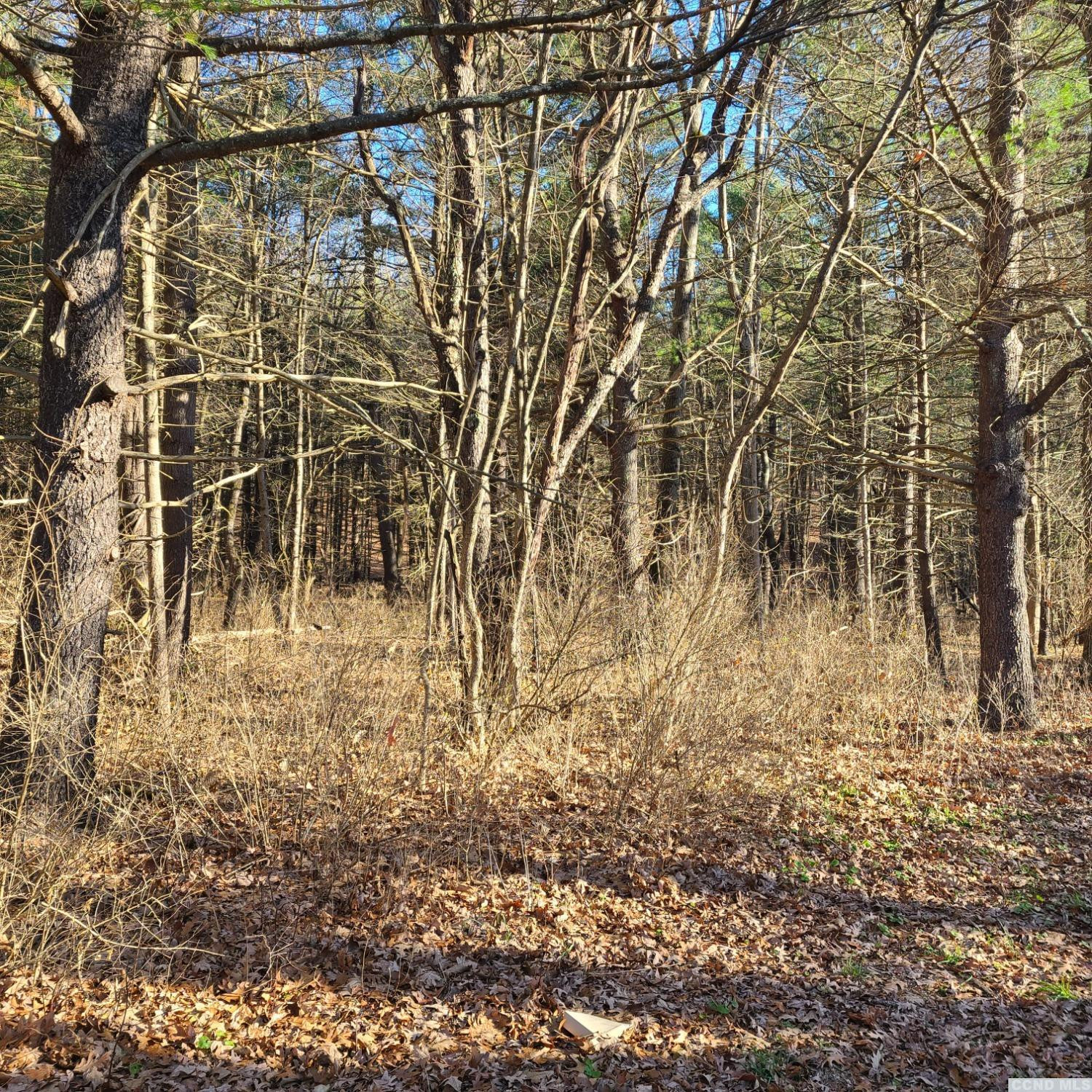 0 Macbrown Road Claverack, NY 12565 - Photo 4 of 4 a view of empty room