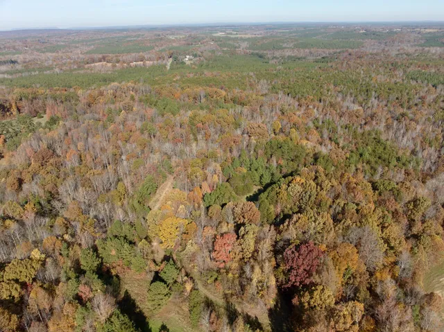a view of a field with an tree