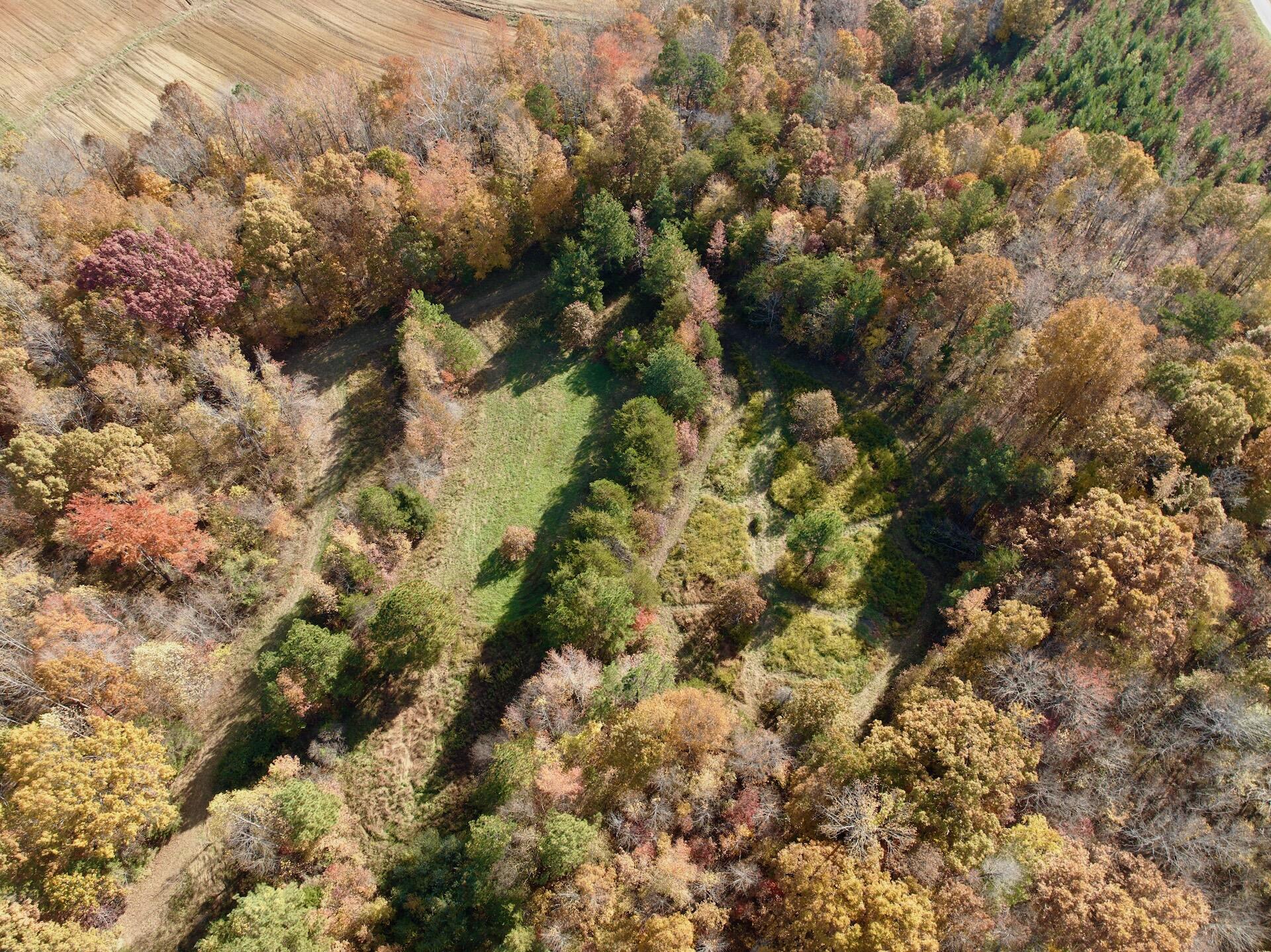 0 Slatesville Road Keeling, VA 24566 - Photo 15 of 78 a view of a forest with trees