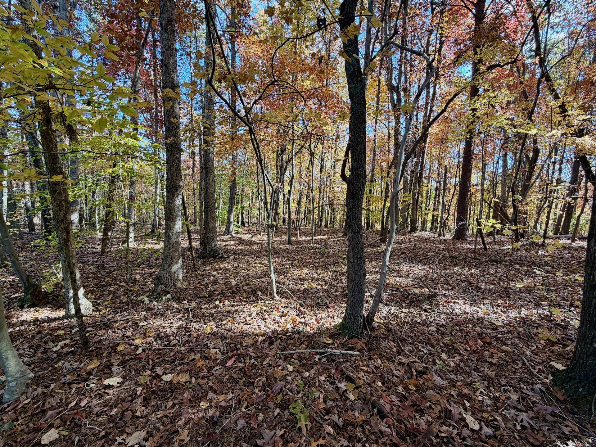 0 Slatesville Road Keeling, VA 24566 - Photo 16 of 78 a view of outdoor space with lots of trees