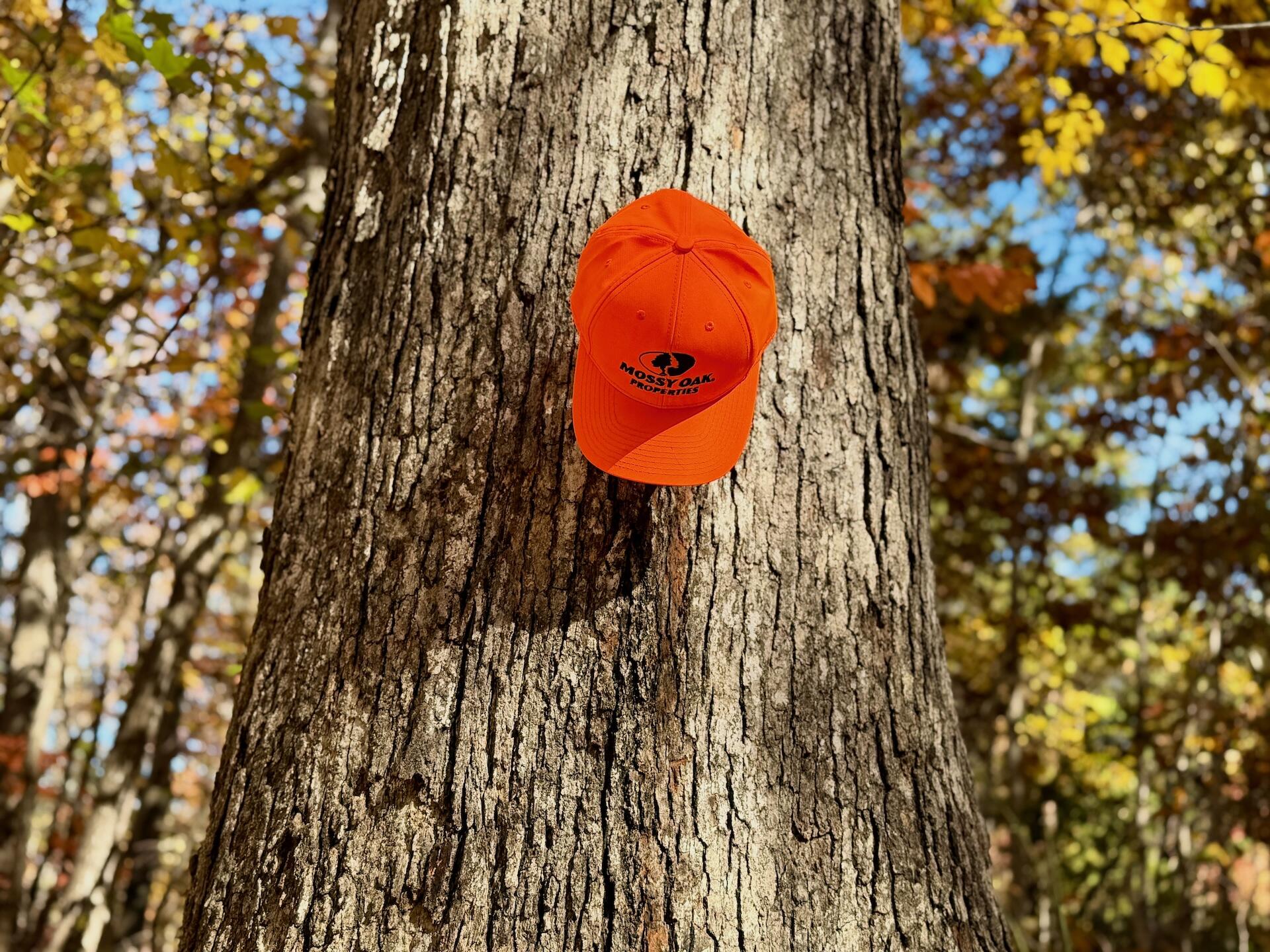 0 Slatesville Road Keeling, VA 24566 - Photo 17 of 78 Chivvis photos - 7
