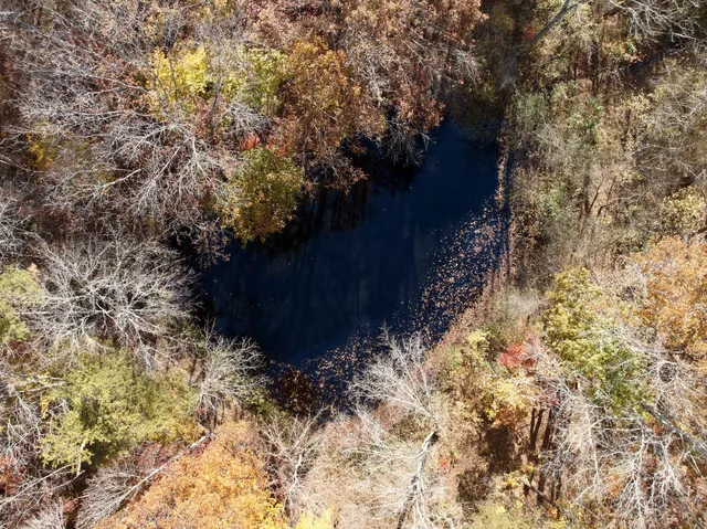 a backyard of a house with large trees
