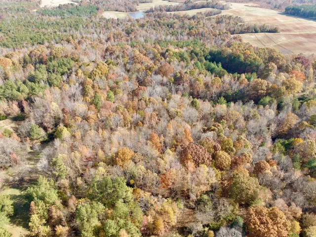 a big yard with lots of green space