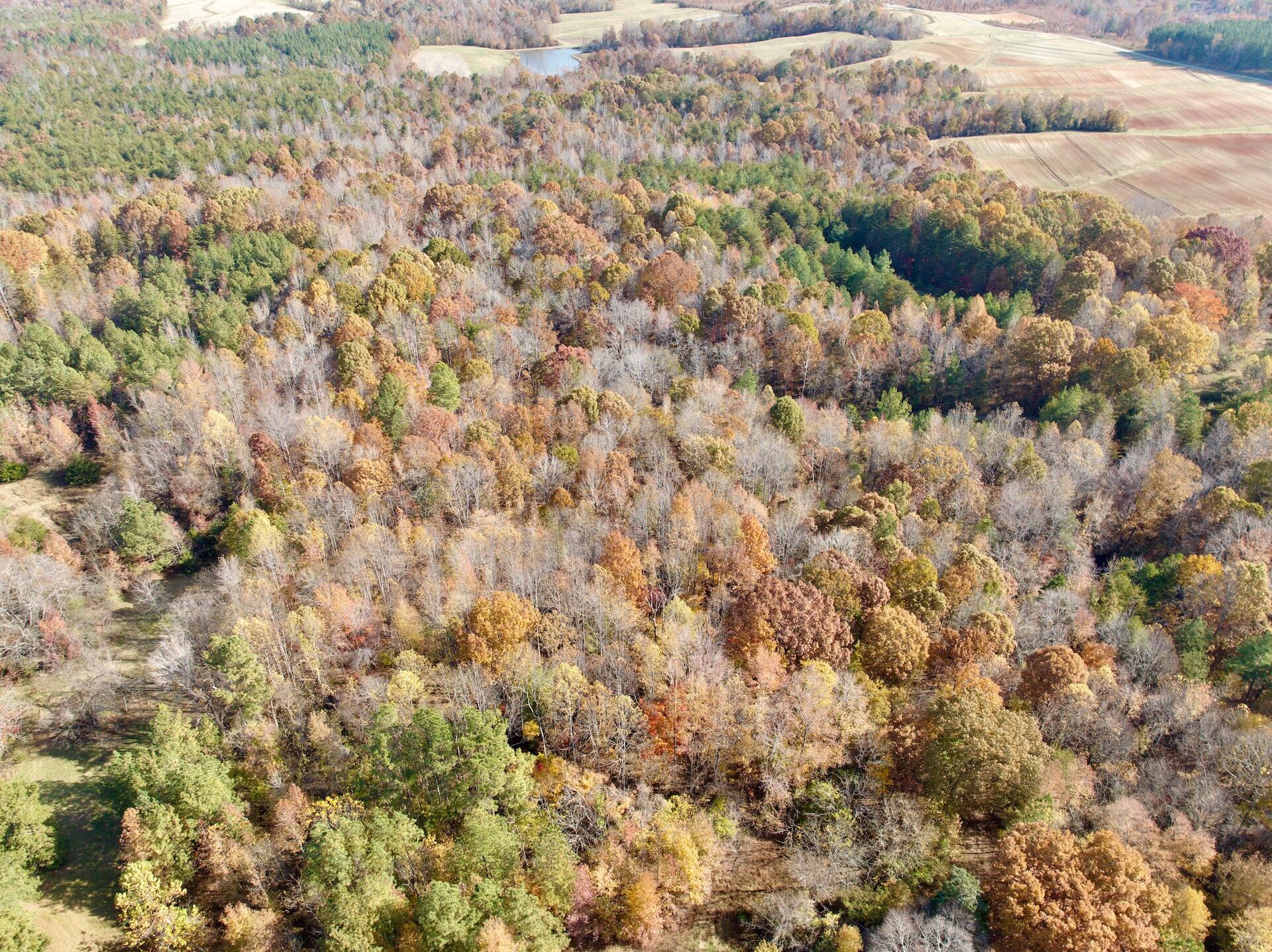 0 Slatesville Road Keeling, VA 24566 - Photo 2 of 78 2