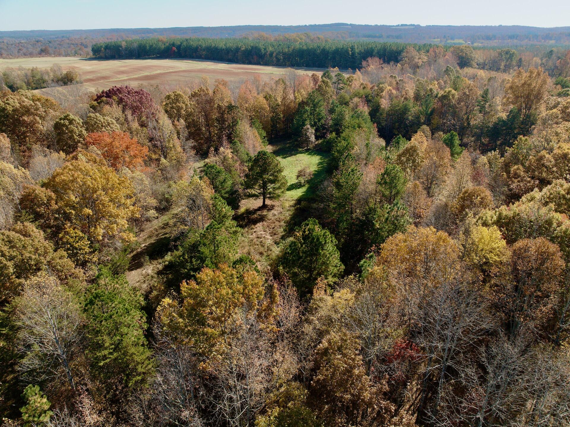 0 Slatesville Road Keeling, VA 24566 - Photo 22 of 78 a view of a forest with a lake