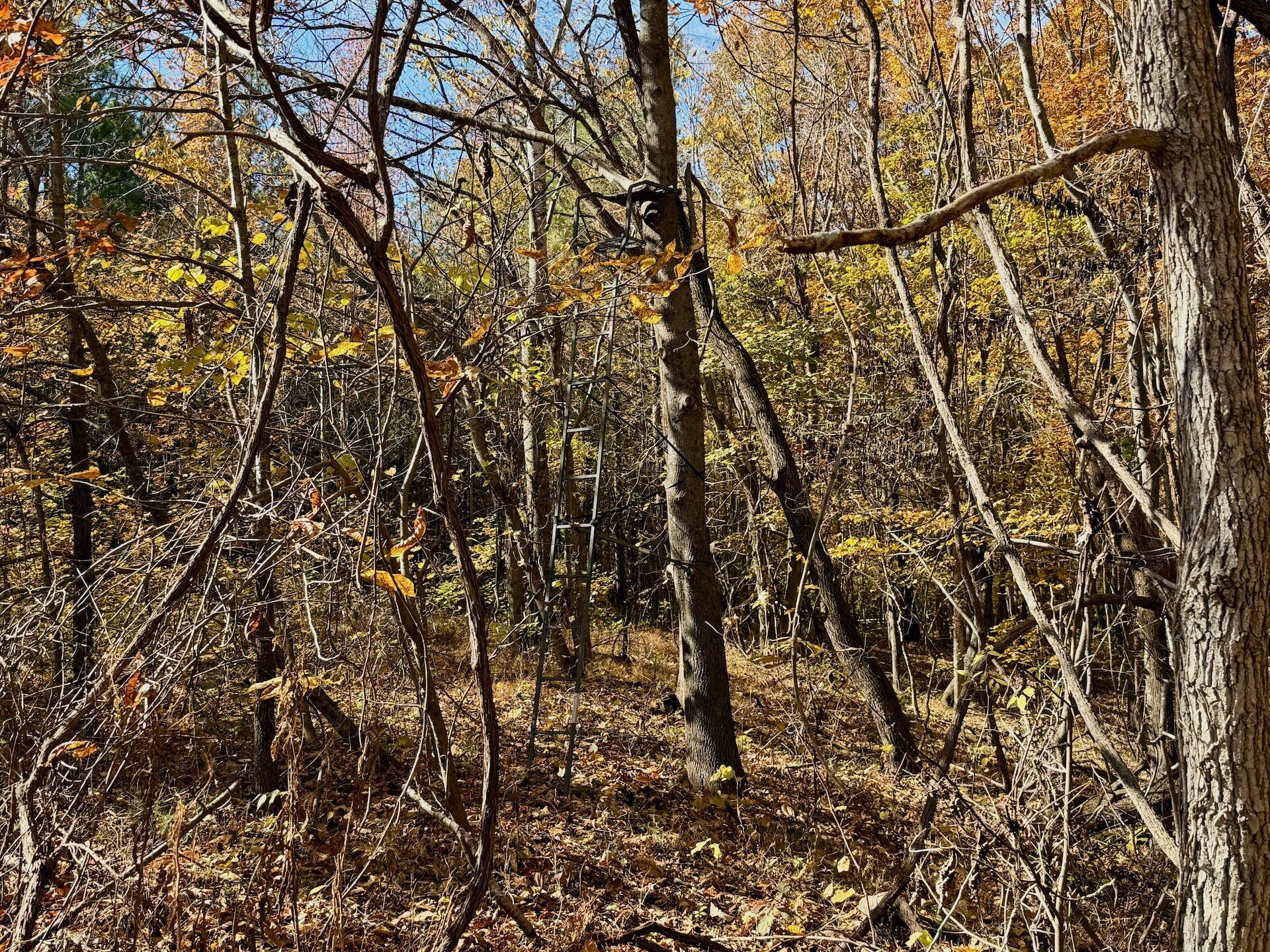 0 Slatesville Road Keeling, VA 24566 - Photo 26 of 78 a picture of a tree