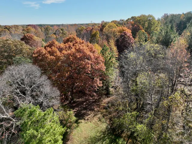 a view of a snow in between the two trees
