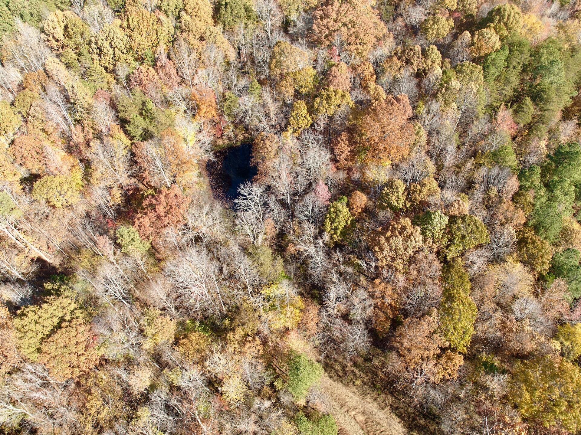 0 Slatesville Road Keeling, VA 24566 - Photo 28 of 78 a picture of a tree