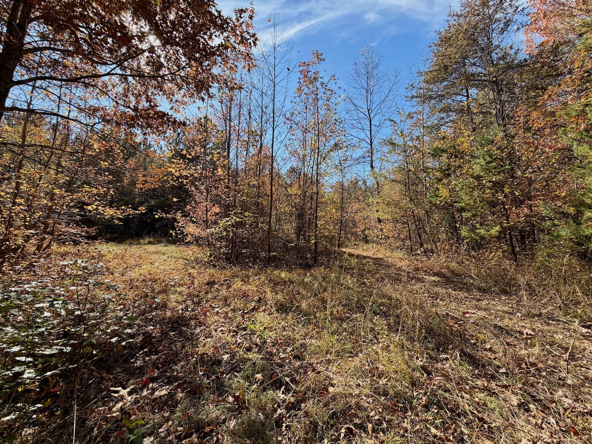 0 Slatesville Road Keeling, VA 24566 - Photo 30 of 78 a view of a yard with trees
