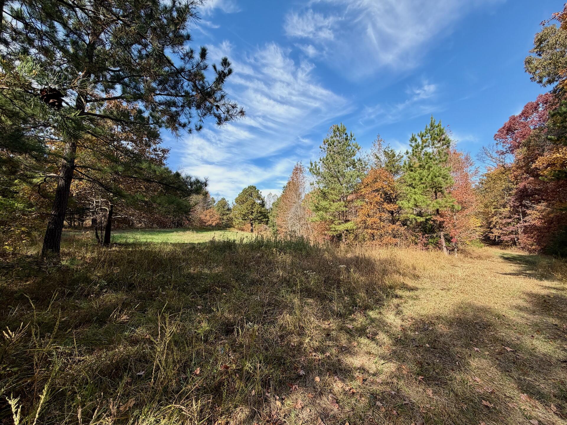 0 Slatesville Road Keeling, VA 24566 - Photo 3 of 78 a view of a field with an tree