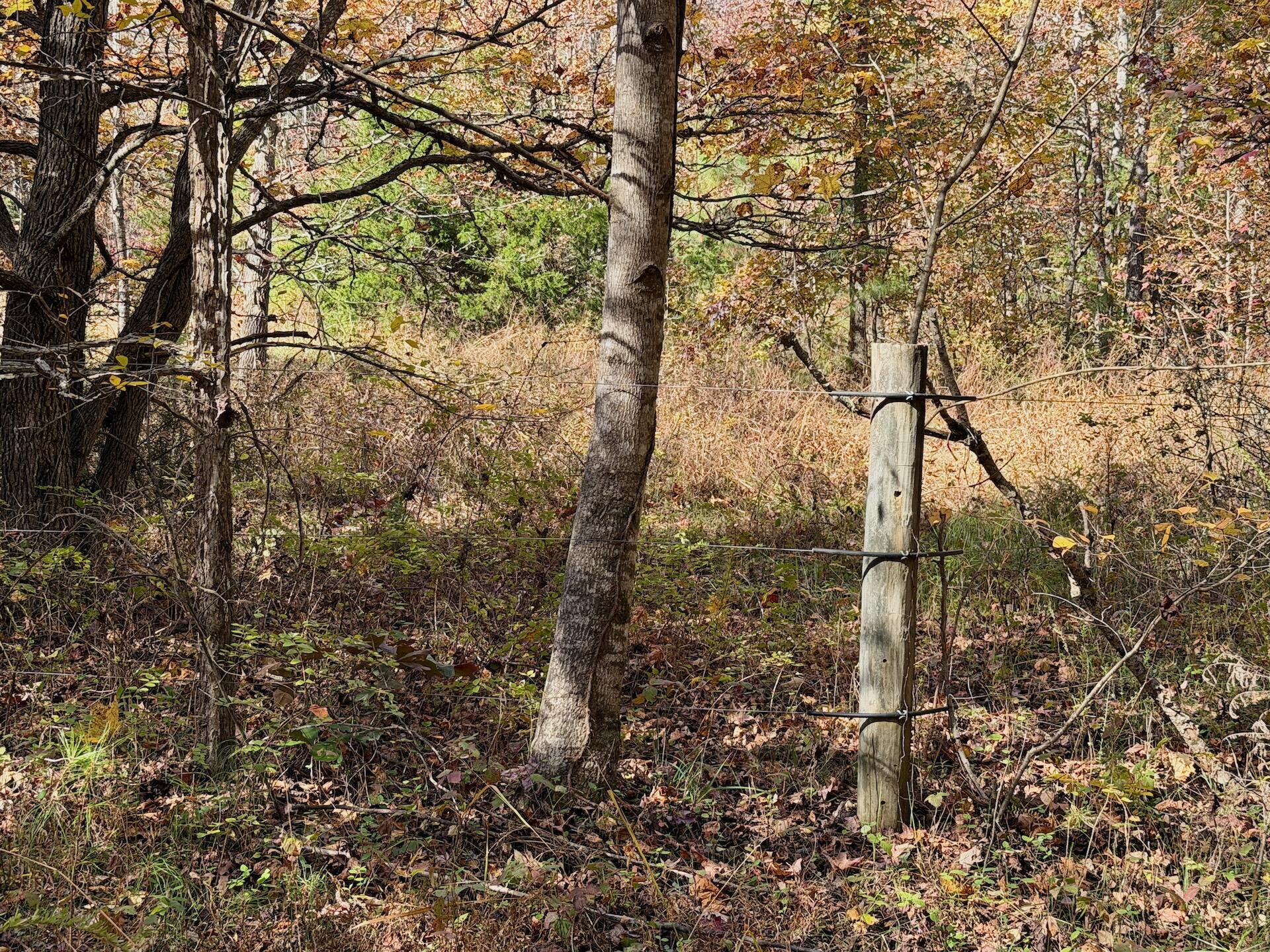 0 Slatesville Road Keeling, VA 24566 - Photo 33 of 78 Chivvis photos - 39