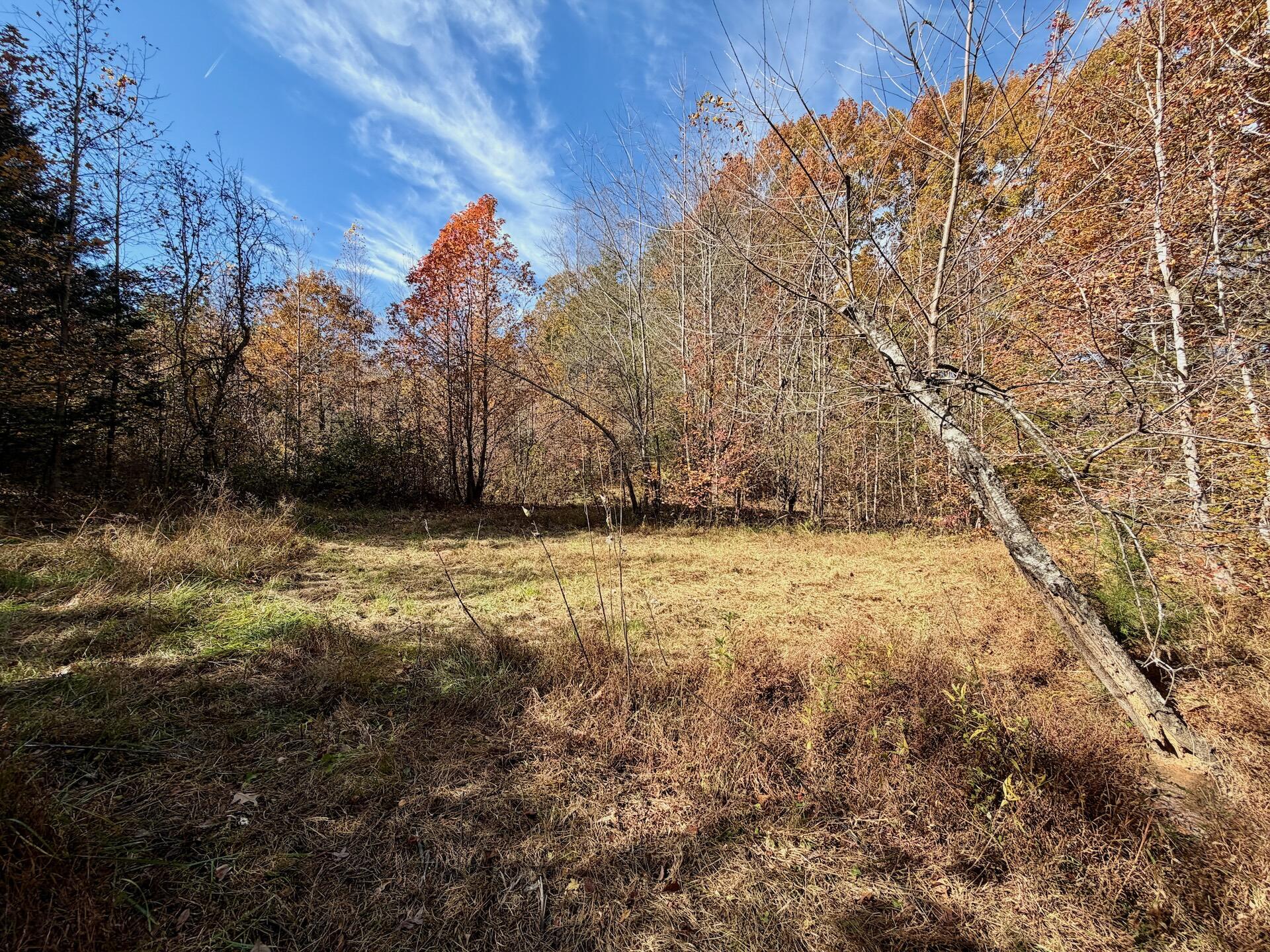 0 Slatesville Road Keeling, VA 24566 - Photo 35 of 78 a backyard of a house with large trees