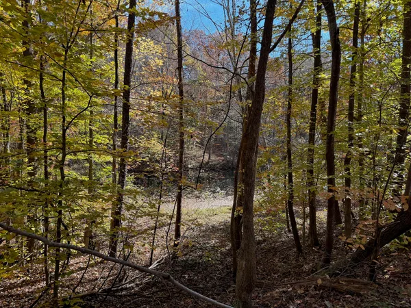a view of lake and mountain