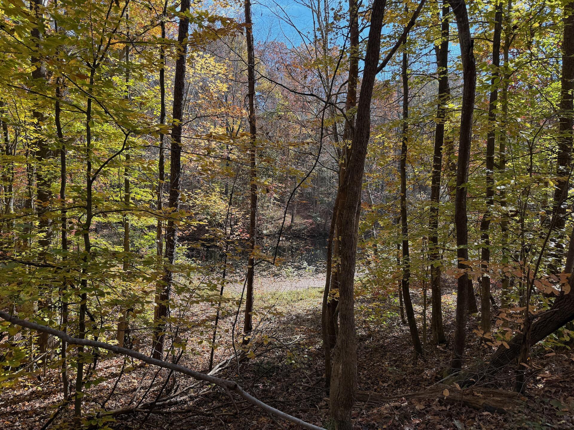 0 Slatesville Road Keeling, VA 24566 - Photo 40 of 78 a view of a pathway of a yard