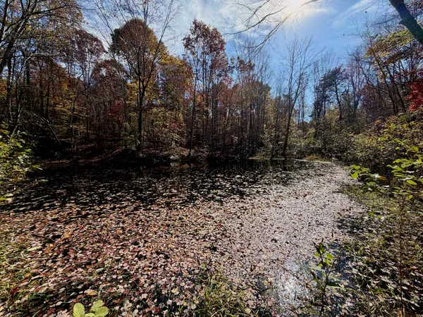 a view of an outdoor space and a lake view