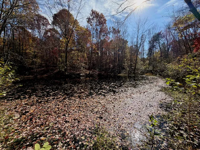 a view of an outdoor space and a lake view