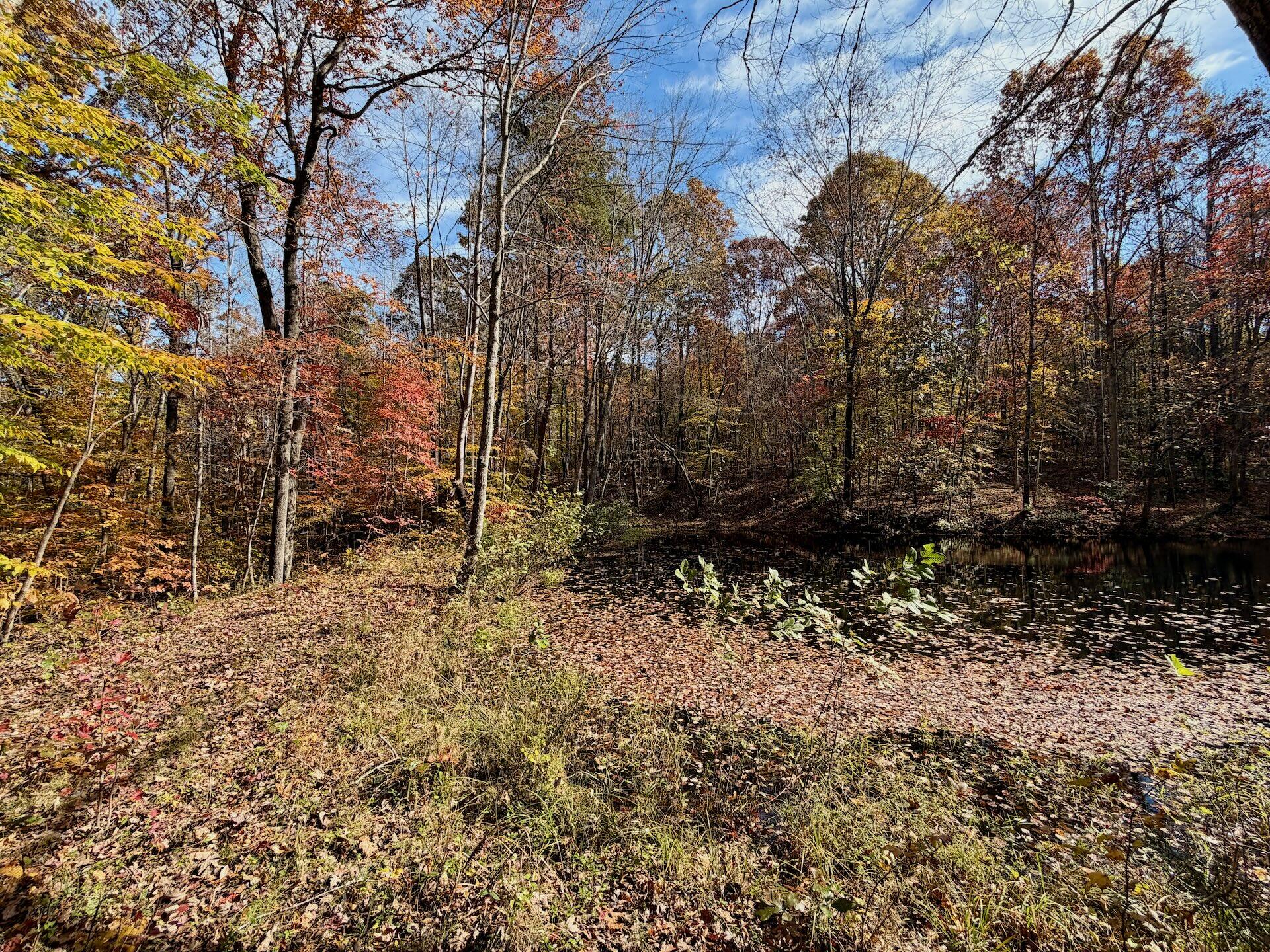 0 Slatesville Road Keeling, VA 24566 - Photo 43 of 78 a backyard of a house with lots of green space