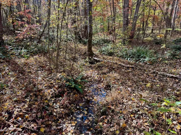 a view of a city with lush green forest