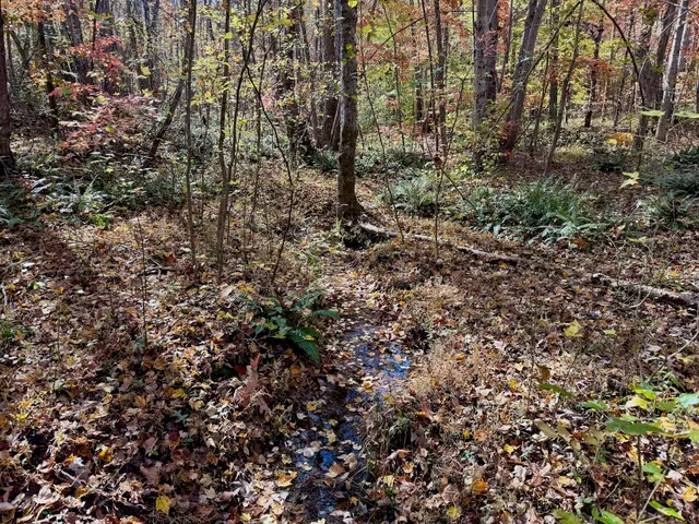 a view of a city with lush green forest