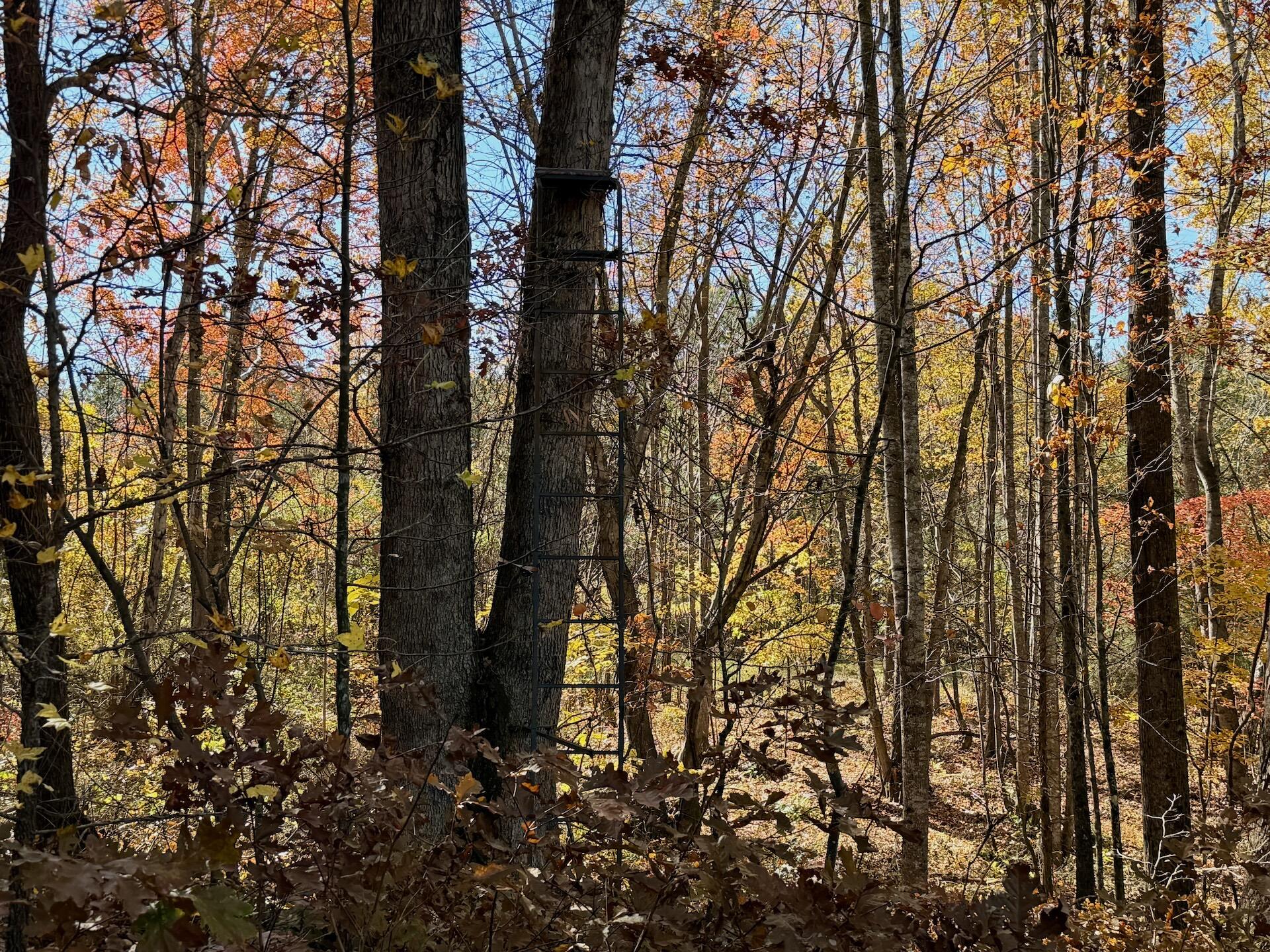 0 Slatesville Road Keeling, VA 24566 - Photo 48 of 78 Chivvis photos - 15