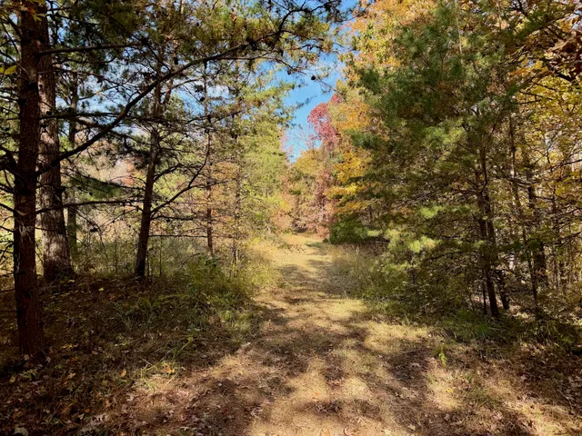 $223,900 | 0 Slatesville Road, Keeling, VA 24566