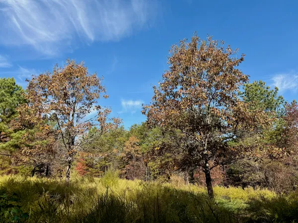 $223,900 | 0 Slatesville Road, Keeling, VA 24566