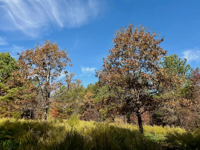 $223,900 | 0 Slatesville Road, Keeling, VA 24566