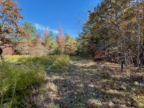 $223,900 | 0 Slatesville Road, Keeling, VA 24566