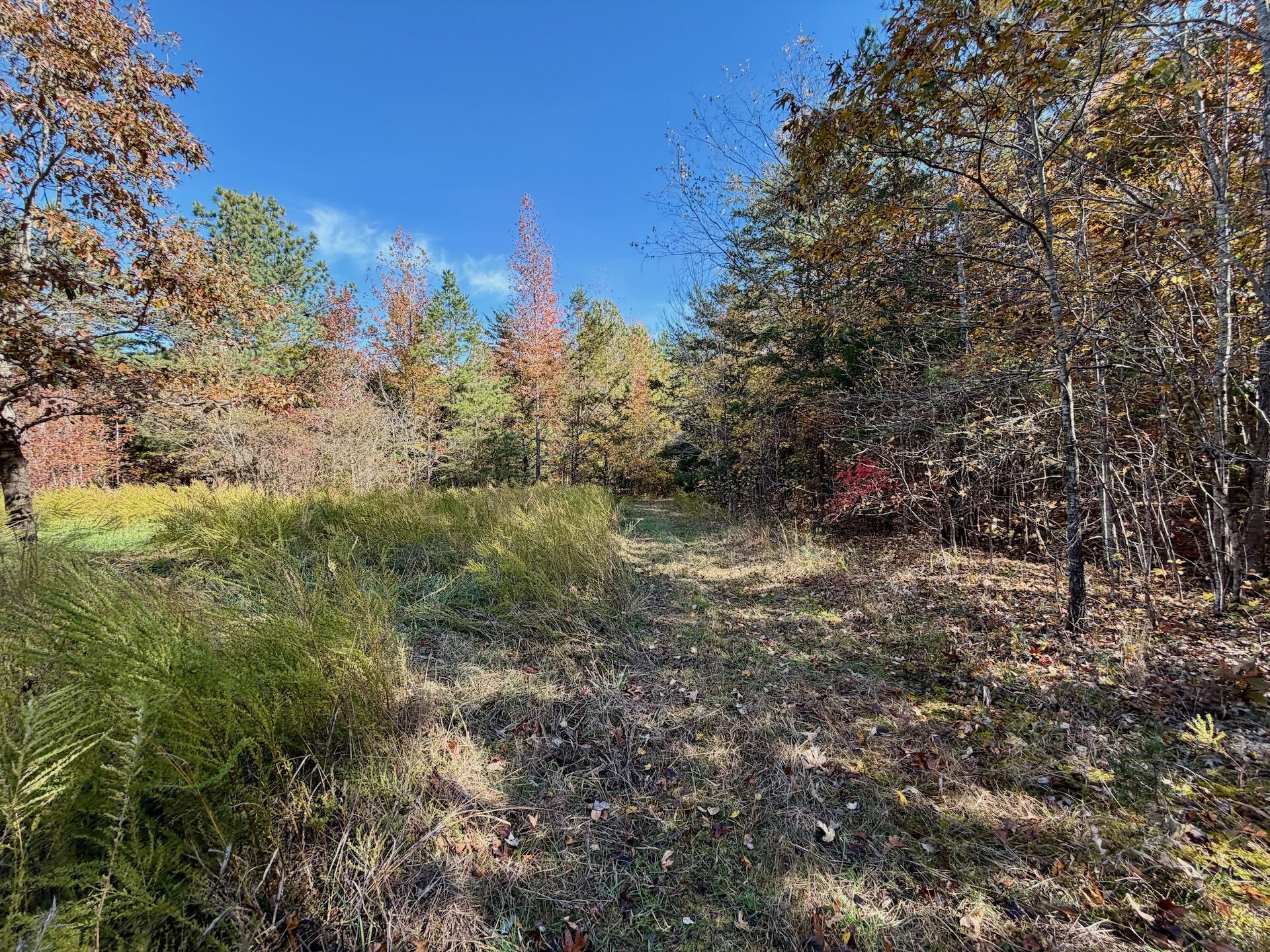 0 Slatesville Road Keeling, VA 24566 - Photo 53 of 78 a view of a field