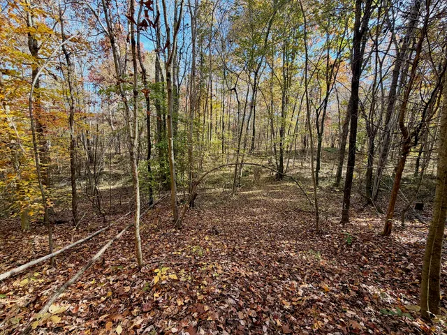 $223,900 | 0 Slatesville Road, Keeling, VA 24566