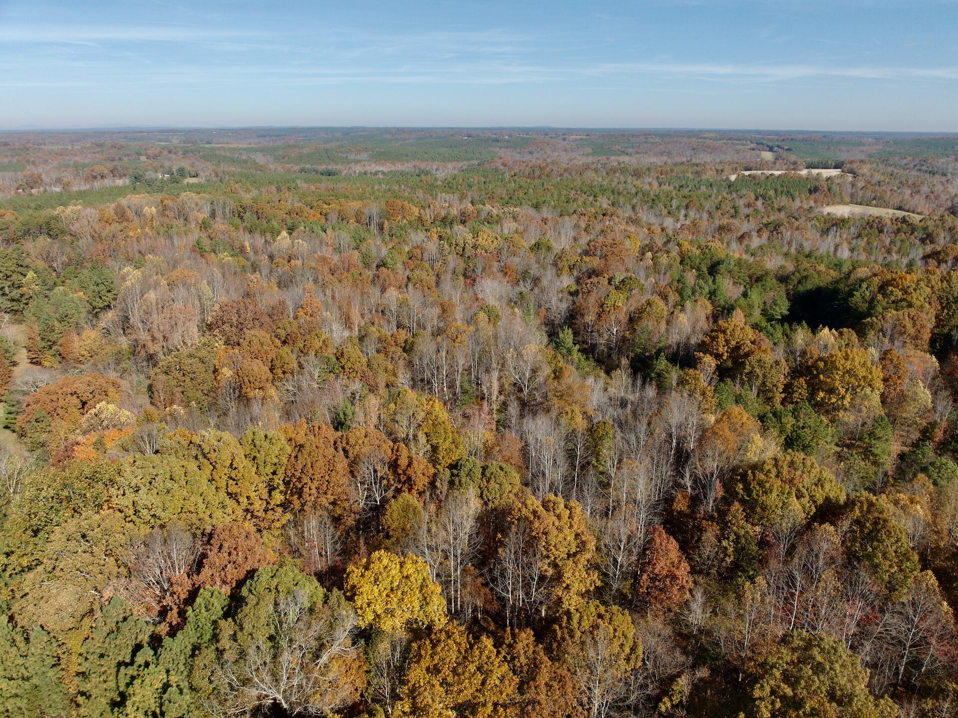 0 Slatesville Road Keeling, VA 24566 - Photo 59 of 78 Chivvis - 23